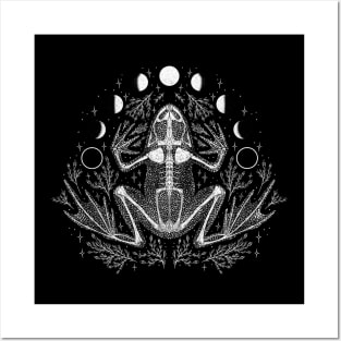 Frog skeleton with moon phases Posters and Art